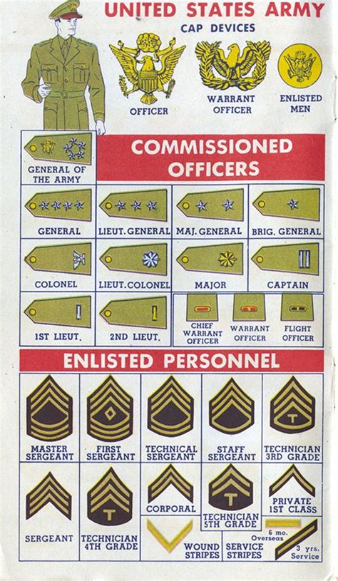 46 Best Military Ranks Images On Pinterest Military Ranks Badges And