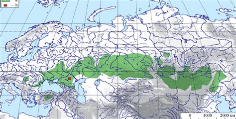 North Eurasia A Desert Steppe Zone B Area Of Research Download