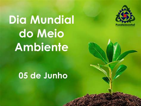 Dia mundial do meio ambiente 2021. 05 de Junho - Dia Mundial do Meio Ambiente - Fundamental