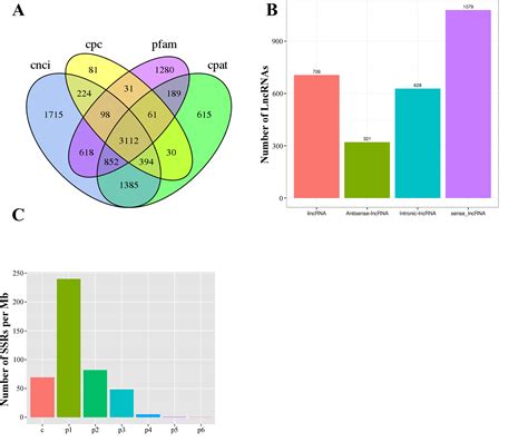 Frontiers Characterization Of Full Length Transcriptome Sequences And