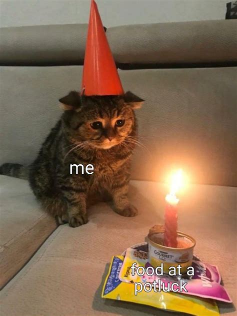 Sad Birthday Cat Meme Template