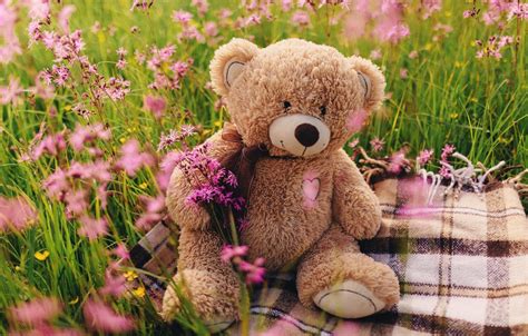 Teddy Bear Spring Wallpapers Wallpaper Cave