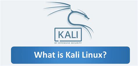 Learning Kali Linux Security Testing Penetration Testing And Ethical