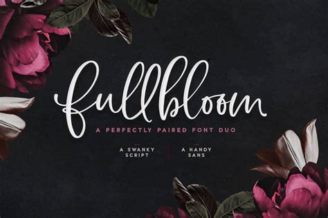 Best Fonts To Create A Feminine Brand Elegance And Enchantment