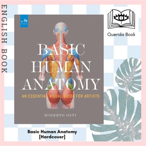 Querida หนังสือภาษาอังกฤษ Basic Human Anatomy An Essential Visual