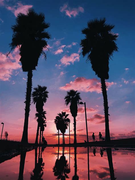 Sunset Aesthetic Pictures Download Free Images On Unsplash