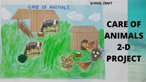 Care Of Animals School Project School Craft Youtube