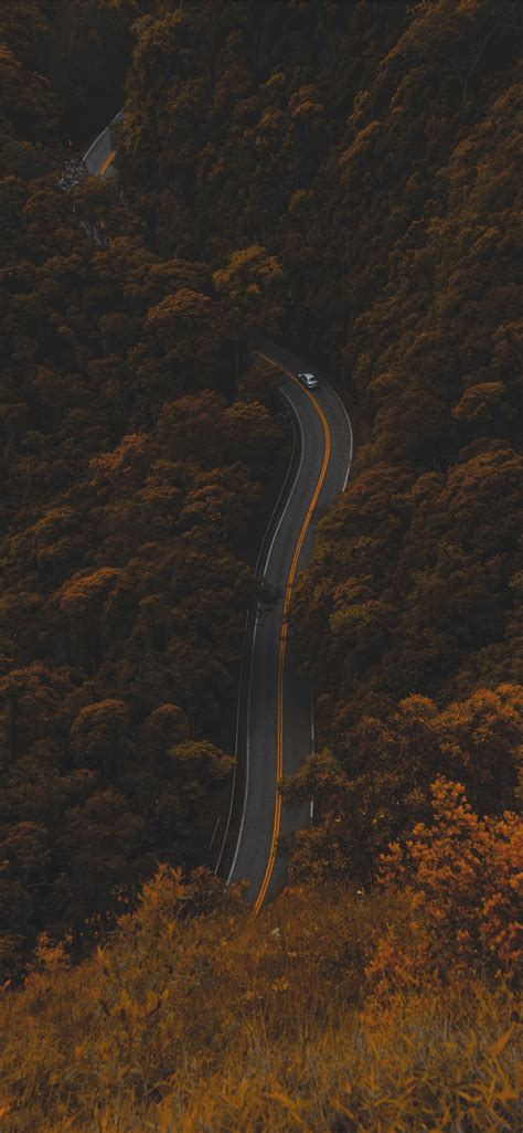 High Angle Photography Of Road Between Trees Iphone X Wallpapers Free