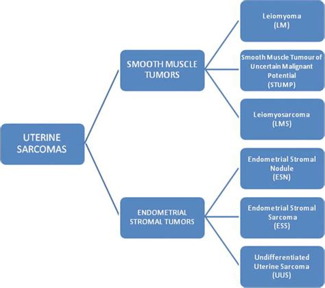 Uterine Sarcomas An Updated Overview Part Smooth Muscle Tumors
