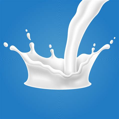 Vector Illustrations Of Milk Splash And Pouring Realistic Natural
