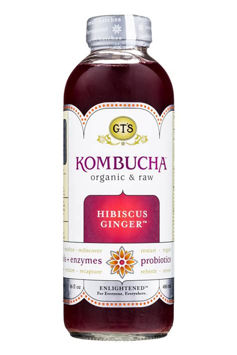 Nova is hitting whole foods shelves throughout los angeles have you seen us around la? Hibiscus Ginger | GT's Kombucha | BevNET.com Product ...