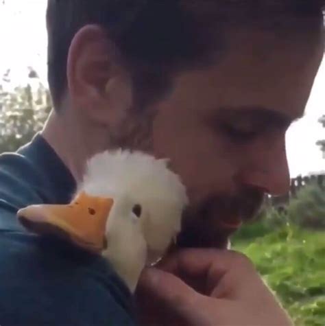 28 Incredibly Cute Pictures Every Duck Lover Will Fall For