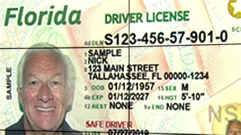 Is My License Suspended In Fl Indiandelta
