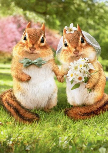 Our card writers are experts in getting the right amount of humor and share their top tips for writing a funny birthday card message! Avanti Press Chipmunk Bride And Groom Funny Wedding Card - Walmart.com - Walmart.com