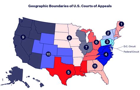 The Us Court System Explained Democracy Docket