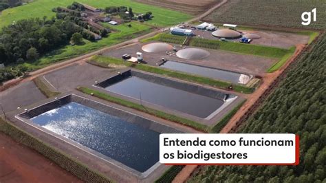 Entenda como funcionam os biodigestores Paraná G
