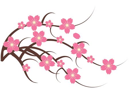 Cherry Blossom Clipart Illustration Zss 17