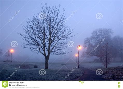 A Cold And Frosty Foggy Early Morning In Diss Park Stock Photo Image Of