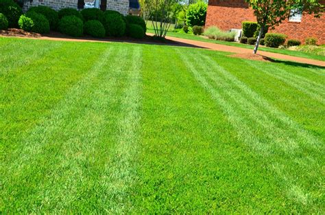 Lawn Care Dry Spots And Soil Compaction Scranton Wilkes Barre Lawn