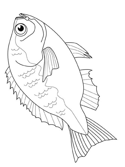 Click on the free fish color page you would like to print or save to your computer. Fish coloring pages Bream | Fish coloring page, Animal ...