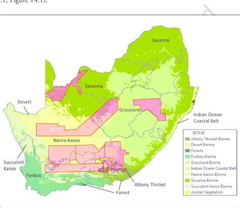 1 The Biomes Of South Africa Mucina And Rutherford 2006 Download
