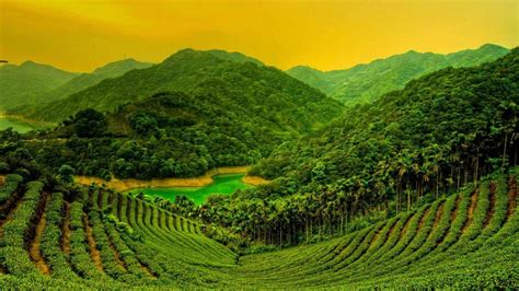 🥇 Green Landscapes Plantation Bing Wallpaper 30108