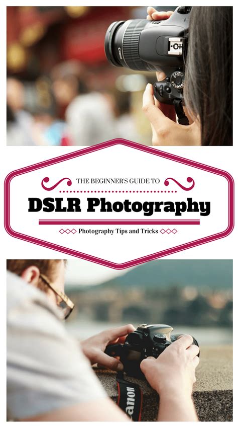 The Beginners Guide To Dslr Photography Photography Tips