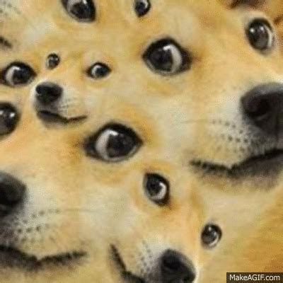 No spam , no porn, no reposts. Dancing Doge Meme - apsgeyser