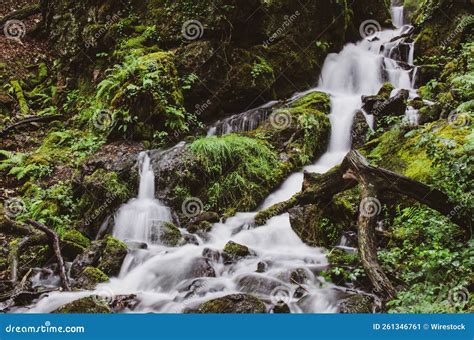 Long Exposure Shot Of A Waterfall In The Mossy Rainforest Stock Image