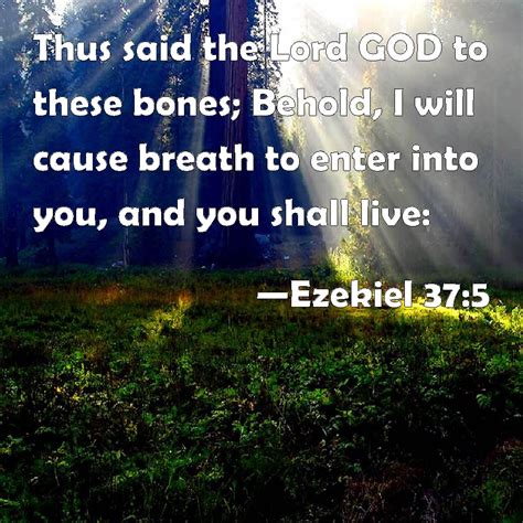 Ezekiel 375 Thus Said The Lord God To These Bones Behold I Will