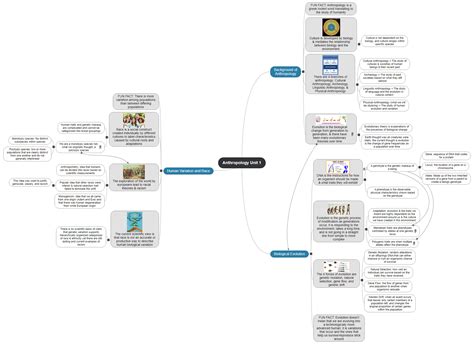 Anthropology Unit 1 4353 Mindview Mind Mapping Software