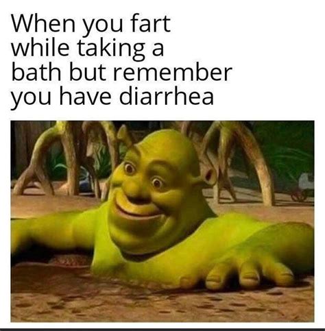 150 Funny Shrek Memes For True Ogres And Donkeys Fandomspot