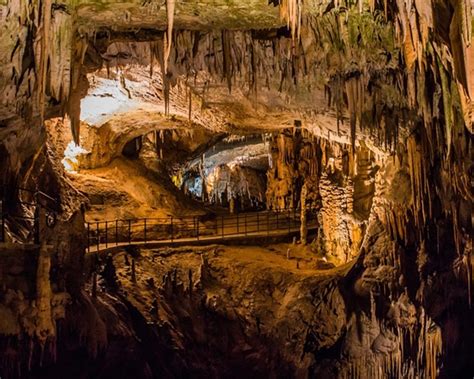 Postojna Cave Half Day Trip Trips In Slovenia From Bled And Ljubljana