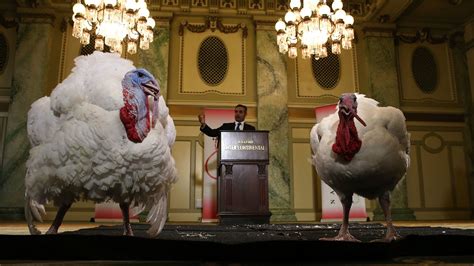 the unusual origin of the thanksgiving presidential turkey pardon