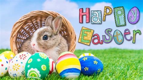 Happy Easter Bunny Wallpapers Wallpaper Cave