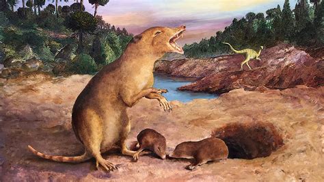 Mammals Lived Alongside A Number Of The Earliest Dinosaurs