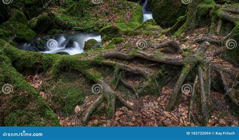 Gertelbach Waterfall In The Black Forest With Mossy Stones And Orange