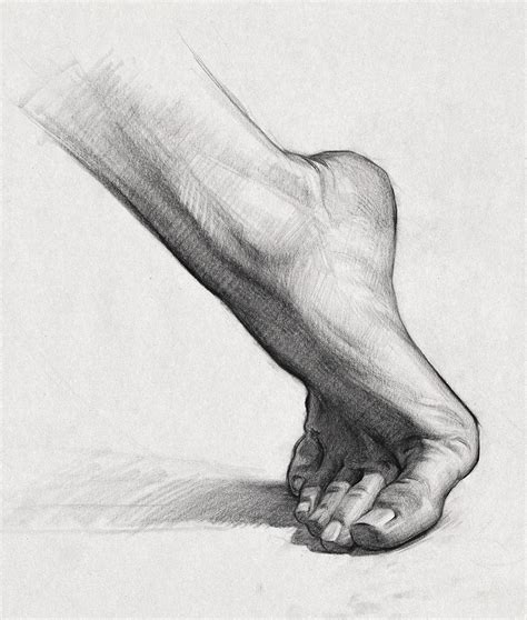 Proko Constructing And Shading The Foot Anatomy Assignment Human