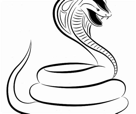 Cobra Coloring Snake Colouring Pages Sketch Coloring Page