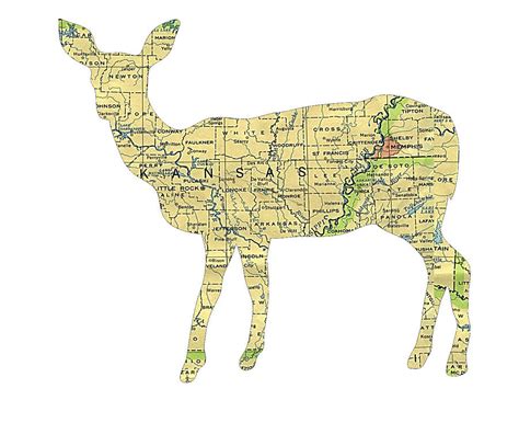 Arkansas Map State Animal Deer Digital Art By R C Rawxe Clemens