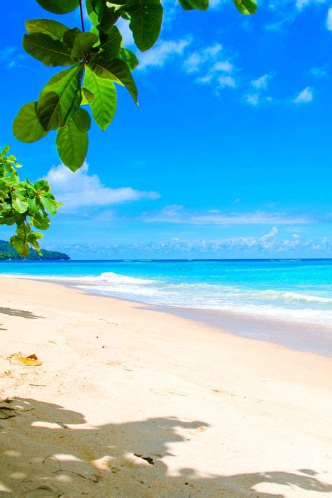 Caribbean Zoom Virtual Backgrounds Make Boring Meetings Better Beach Images