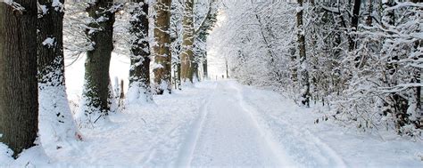 Winter Meadow Walks Scheduled For 2015 Goodwin University