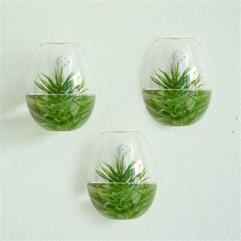 Sale 3 Pack Glass Wall Planters Indoor Plants Holder Wall Etsy