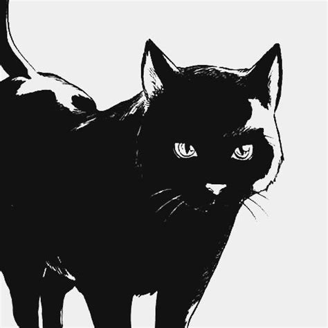 Yourouichi Manga Cat Bleach Anime Cat Illustration