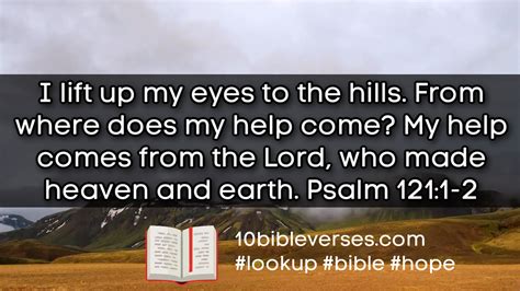 Bible Verses About Looking Up: What the Holy Scripture Says About