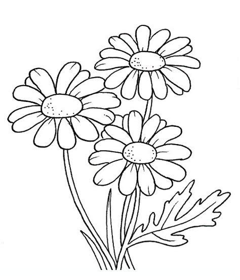 If you have more than one flower at a time, you might need to do this step more than as soon as. Daisy Flowers coloring pages