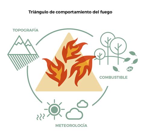 Fuego Forestal Y Prevención De Incendios SituaciÓn En El Mundo