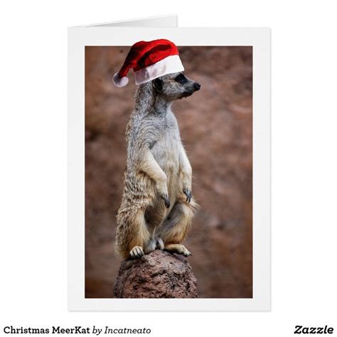 Christmas Meerkat Holiday Card Holiday Cards Christmas