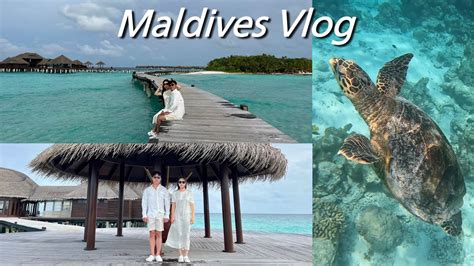 몰디브 신혼여행 Vlog 3몰디브에서 거북이 만나기 스노쿨링 셀프웨딩촬영 시샤 바다위 헬스장이라니 YouTube