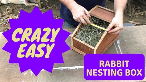 Crazy Cheap And Easy Rabbit Nesting Box Diy Project Youtube